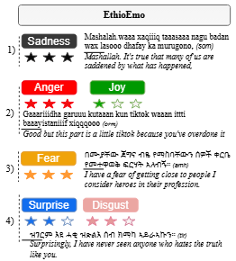Enhancing Multi-Label Emotion Analysis and Corresponding Intensities for Ethiopian Languages 